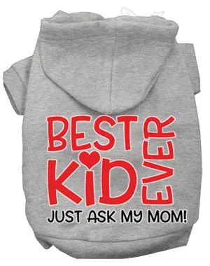 Ask My Mom Screen Print Dog Hoodie Grey Xl